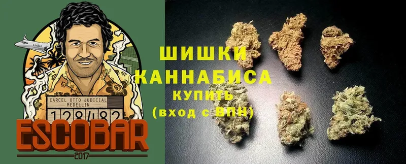 Конопля THC 21%  дарнет шоп  Верхотурье 